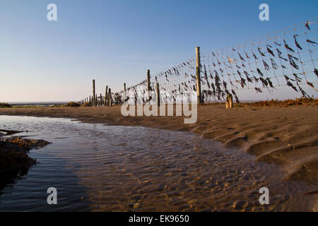 Stert Wohnungen in Bridgewater Somerset Stockfoto