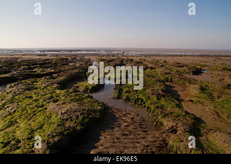 Stert Wohnungen in Bridgewater Somerset Stockfoto