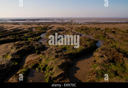 Stert Wohnungen in Bridgewater Somerset Stockfoto