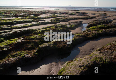 Stert Wohnungen in Bridgewater Somerset Stockfoto