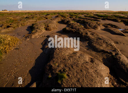 Stert Wohnungen in Bridgewater Somerset Stockfoto