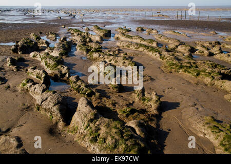 Stert Wohnungen in Bridgewater Somerset Stockfoto