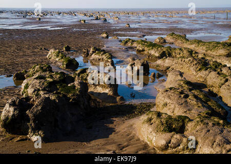 Stert Wohnungen in Bridgewater Somerset Stockfoto