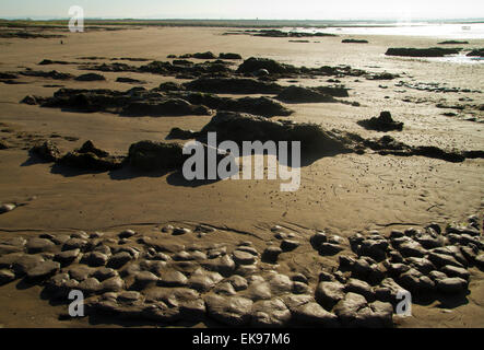 Stert Wohnungen in Bridgewater Somerset Stockfoto