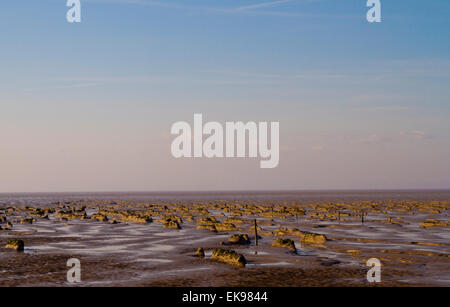 Stert Wohnungen in Bridgewater Somerset Stockfoto