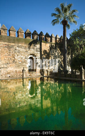 Gärten des Alcázar de Los Reyes Cristianos in Córdoba, Spanien, Ort ist UNESCO-Weltkulturerbe erklärt. Stockfoto