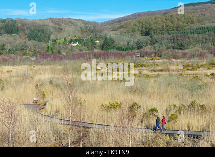 CORS Dyfi, ein Naturschutzgebiet von laufen Montgomery Wildlife Trust, in der Nähe von Machynlleth, Powys, North Wales UK Stockfoto