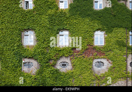 Burg Schnellenberg Schloß, Hansestadt Attendorn, Sauerland Region, North Rhine-Westphalia, Deutschland, Europa Stockfoto