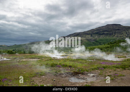 Geysir-Geysir Kochen Island Rauch Spray Frühling Stockfoto