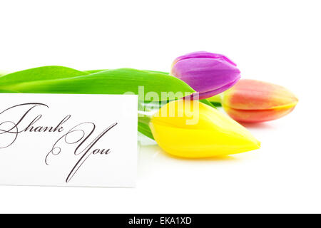 Bunte Tulpen und eine Karte signiert danke isoliert auf weiss Stockfoto