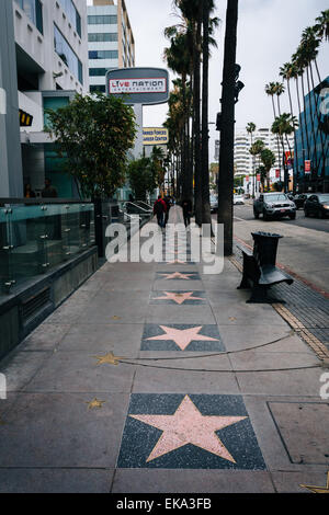Dem Hollywood Walk of Fame in Hollywood, Los Angeles, Kalifornien. Stockfoto