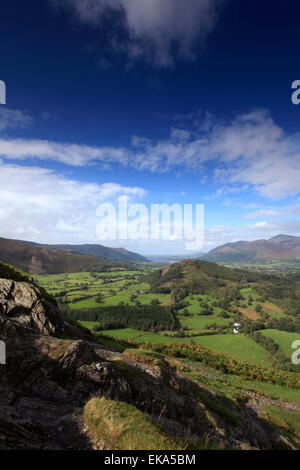 Katze-Glocken fielen, Newlands Valley, Bassenthwaite, Nationalpark Lake District, Cumbria County, England, UK Stockfoto