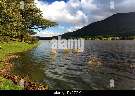 Blick über Bassenthwaite Lake District Nationalpark, Grafschaft Cumbria, England, UK. Stockfoto