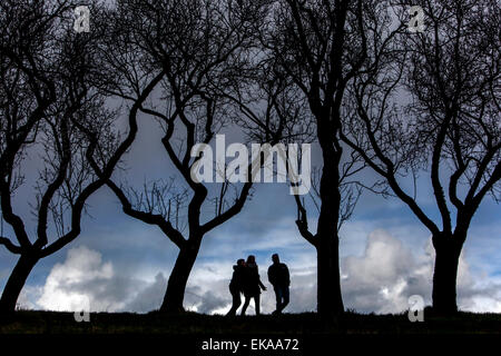 Silhouetten von Menschen in die Obstbäume ohne Blätter Stockfoto