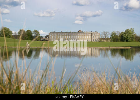 Ein Blick auf Petworth House entnommen Petworth Park, West Sussex, england Stockfoto