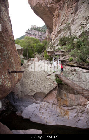 Der Laufsteg, eine beliebte National Recreation Trail in den Gila National Forest, in der Nähe von Glenwood, NM, USA Stockfoto