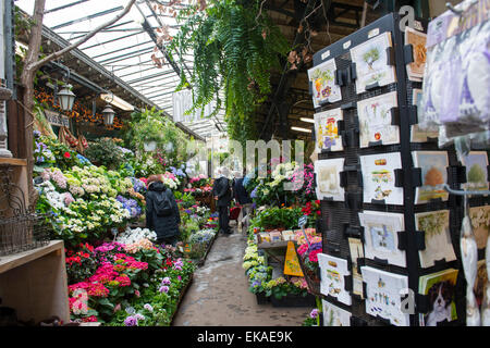 Marché Aux Fleurs in Paris, Frankreich-Europa-EU Stockfoto