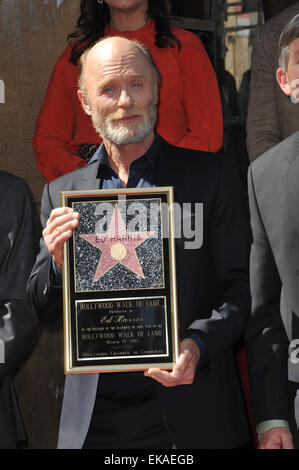 LOS ANGELES, CA - 13. März 2015: Schauspieler Ed Harris auf dem Hollywood Boulevard, wo er mit dem 2,546th Stern auf dem Hollywood Walk of Fame geehrt wurde. Stockfoto