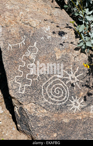 Petroglyphen erstellt durch die Hohokam-Indianer, die die Täler rund um Phoenix und Tucson zwischen C.E. 300Ð1500 besetzt Stockfoto