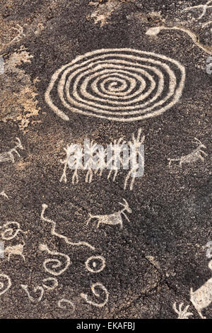 Petroglyphen erstellt durch die Hohokam-Indianer, die die Täler rund um Phoenix und Tucson zwischen C.E. 300Ð1500 besetzt Stockfoto