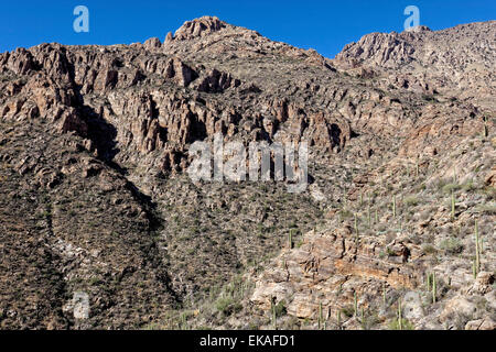 Sabino Canyon Gneis Geologie, Tucson, AZ Stockfoto