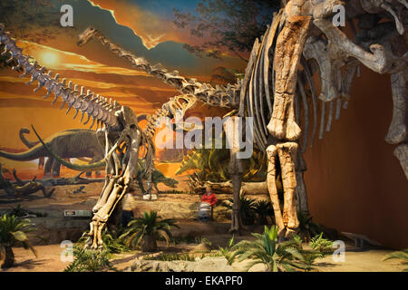 Besucher flanieren unter riesigen Dinosaurier-Skelette in New Mexico Museum of Natural History & Wissenschaft in Albuquerque. Stockfoto