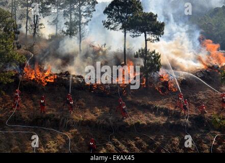 Liangshan, Provinz Sichuan. 9. April 2015. Feuerwehr nehmen Teil in einen Wald Brandschutzübung in Liangshan, Südwesten der chinesischen Provinz Sichuan, 9. April 2015. © Cheng Xueli/Xinhua/Alamy Live-Nachrichten Stockfoto