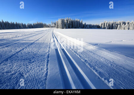 Sonnigen Winterlandschaft und Trails für Skifahrer, Böhmerwald, Tschechien Stockfoto