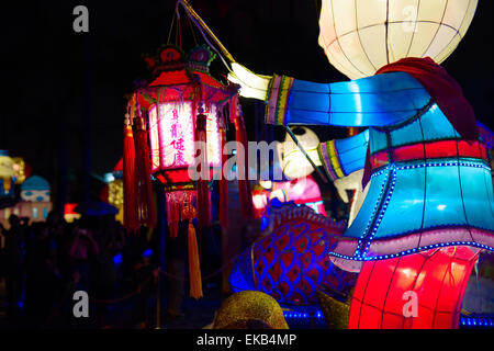 Laternen auf öffentlichen Anzeigen im Frühjahr Laternenfest, Kowloon Public Pier, Hong Kong Stockfoto