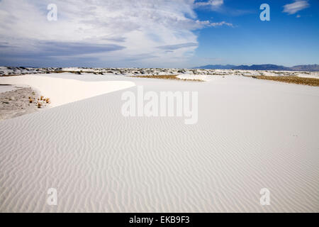 Schneeweißen Dünen des reinen Gymsum erstrecken sich kilometerweit am White Sands National Monument in Alamagordo, New Mexico. Stockfoto