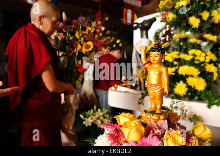 Wesak (Buddhas Geburtstag, erwachen und Nirvana) Feier im großen buddhistischen Tempel (Grande Pagode de Vincennes), Frankreich Stockfoto