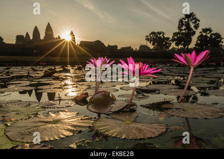 Sonnenaufgang über den Westeingang, Angkor Wat, Angkor, UNESCO, Siem Reap, Kambodscha, Indochina, Südostasien, Asien Stockfoto