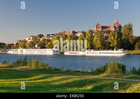 Bin Münsterbergs Hügel mit Münster St. Stephan, Breisach, Rhein, Kaiserstuhl, Breisgau, Schwarzwald, Baden-Württemberg, Deutschland Stockfoto