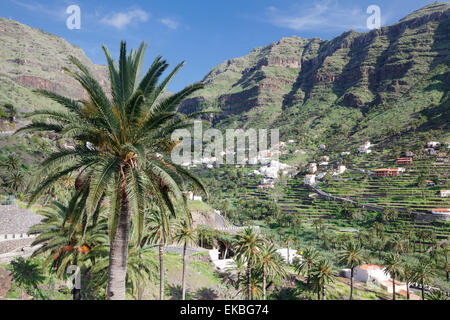 Terrassenfelder, Valle Gran Rey, La Gomera, Kanarische Inseln, Spanien, Europa Stockfoto