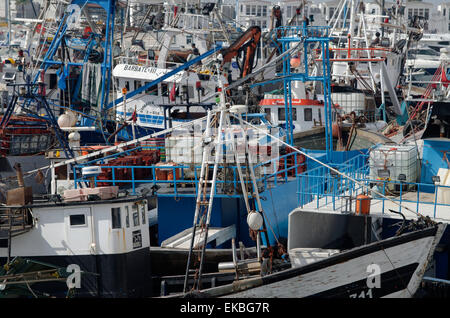 Dicht gedrängt Angelboote/Fischerboote ankern in Tanger Fischerhafen, Tanger, Marokko, Nordafrika, Afrika Stockfoto