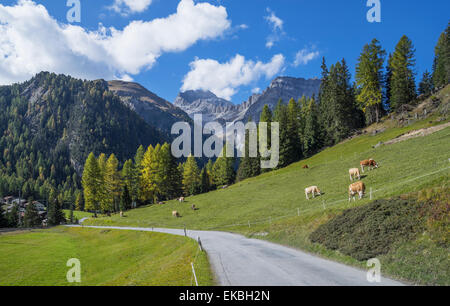 Weg zum Albulapass, Graubünden, Schweizer Alpen, Schweiz, Europa Stockfoto