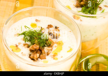 Tarator - traditionelle bulgarische kalter Sommer Suppe Stockfoto