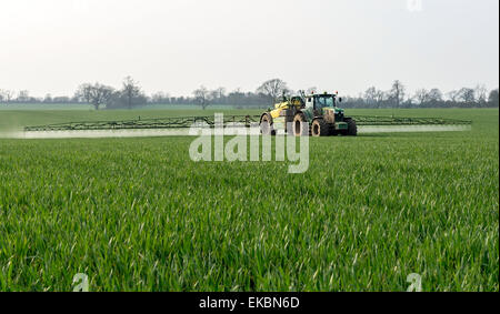 Herbst Ernte spritzen Stockfoto