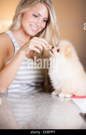 junge Frau mit ihrem blechernen Hund spielen Stockfoto