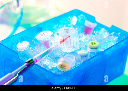 Automatische Pipette über Reaktionsgefäß in eine Kiste voller Eis Stockfoto