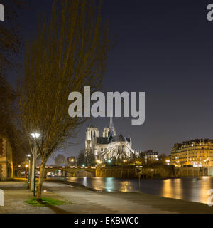 Blick auf Notre Dame und Ufer in der Nacht, Paris, Frankreich Stockfoto