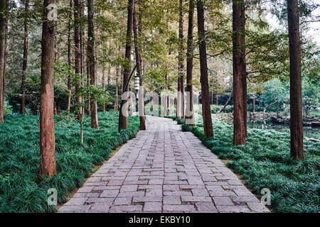 Bäumen und Park Weg, Westlake, Hangzhou, China Stockfoto