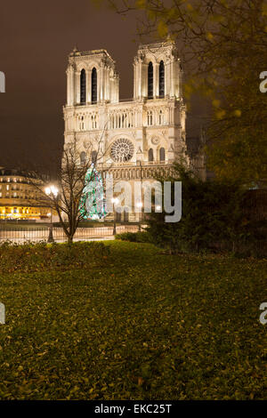 Blick auf die beleuchtete Kathedrale Notre-Dame in der Nacht, Paris, Frankreich Stockfoto