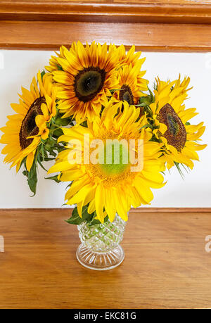 Ein Strauß Sonnenblumen in eine reich verzierte Antike Glasvase. Stockfoto