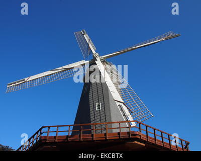 Die Murphy-Windmühle im Golden Gate Park, San Francisco, CA, USA Stockfoto