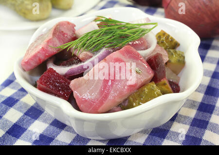 Matie Salat mit rote Beete, Zwiebeln und Gurken Stockfoto