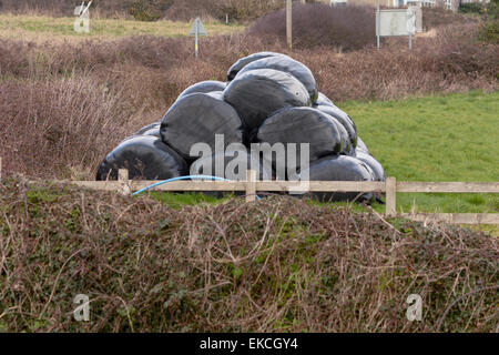 Großen Strohballen Stapeln in Bauern Feld Stockfoto