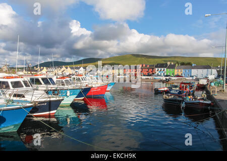 Bunte Boote in den Hafen von Portmagee, County Kerry, Irland Stockfoto