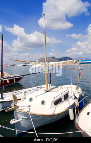 Alcudia Mallorca Hafen mit Llaut Boote in der marina Stockfoto