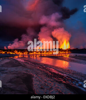 Vulkanausbruch auf den Holuhraun Riss in der Nähe der Bardarbunga Vulkan, Island. Stockfoto